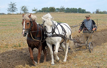 Жители деревень: Нет ни денег, ни работы, а тут еще и на пенсию не пускают