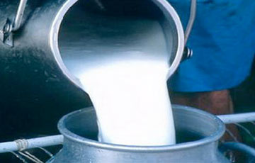 В Кобринском районе бригадир фермы отправила на завод 6 тонн воды вместо молока