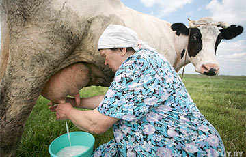 Государство задолжало населению почти 1,7 миллиарда за молоко и мясо
