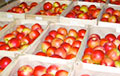 Таможенники изъяли 111 тонн яблок на границе с Россией