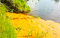 Фотофакт: В Витебске на реке появилась странная ржаво-оранжевая пленка