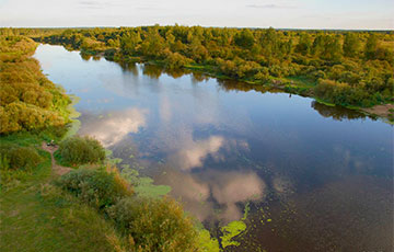 Эколог: Беларусь рискует остаться через 20 лет без чистых рек