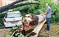 Ущерб от ураганов в Беларуси оценили в $6,5 миллионов