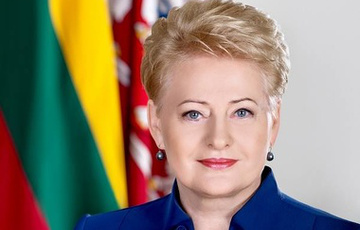 Президент Литвы не смогла вылететь в Латвию из-за поломки самолета