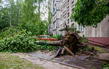 Ураган нанес Беларуси ущерб на $6,5 миллионов