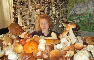 В Щучинском районе семья за день собрала 200 килограммов грибов