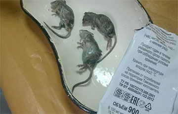 Молокозавод в Рогачеве подал в суд на женщин, которые опубликовали снимки крыс в пакете молока