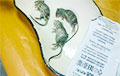 Молокозавод в Рогачеве подал в суд на женщин, которые опубликовали снимки крыс в пакете молока