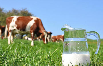 Беларусь и Россия подписали «дорожную карту» по молоку