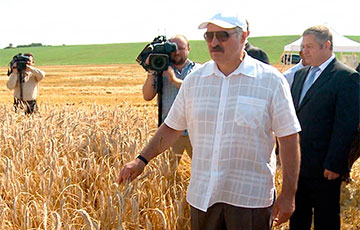 Lukashenka: And What About Matrix?