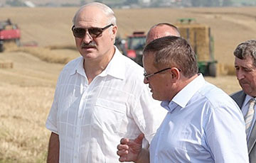 Удостоившийся похвалы от Лукашенко фермер попал в «черный список» налоговиков