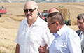 Удостоившийся похвалы от Лукашенко фермер попал в «черный список» налоговиков