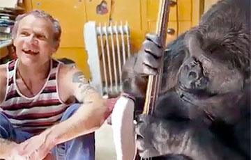 Музыкант Red Hot Chili Peppers дал горилле поиграть на гитаре