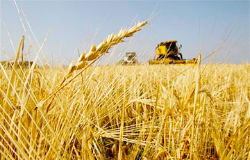 Belarusians Fleeing Agriculture