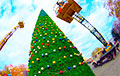 В Минске начали устанавливать новогодние елки