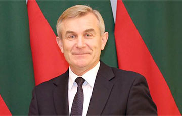 Спикер Сейма Литвы пригласил Латвию присоединиться к блокаде БелАЭС