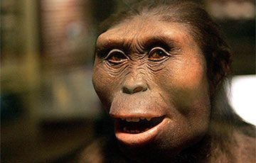 Ученые нашли в Эфиопии останки древнейшего «обезьяночеловека»