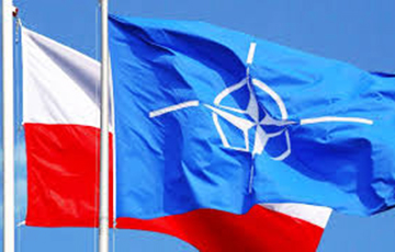 НАТО предложило Польше помощь на границе с Беларусью