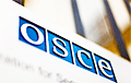 ОБСЕ соберет информацию о вбросах бюллетеней