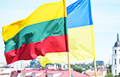 Глава Минобороны Литвы назвал три причины, почему Вильнюс поддерживает Украину