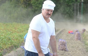 Lukashenka: We Need To Plough, Seed Day And Night