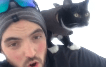 Видеохит: Бесстрашный кот обожает кататься на санках