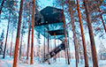 В Швеции гостиничный номер построили прямо на дереве
