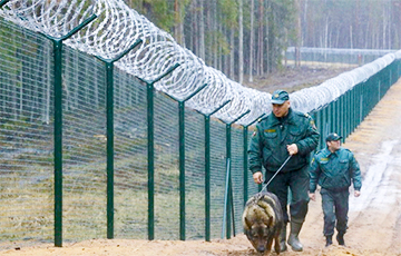 Поляк незаконно перешел границу, чтобы трудоустроиться в Беларуси