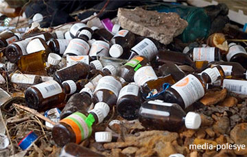 Фотофакт: «Месторождение» боярышника в Пинске