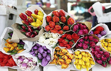 В Минске уже продают тюльпаны: что с ценами