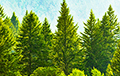 Япония покупает крупную лесную компанию на российском Дальнем Востоке