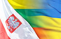 Спикеры парламентов Литвы, Польши и Украины рассмотрят ситуацию в Беларуси