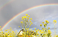 Фотофакт: Двойная радуга над Гродно