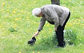 Фотофакт: Минчанин выгуливает в парке ворону
