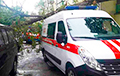 В Минске из-за сильного ветра дерево упало на три авто, в том числе «скорую»