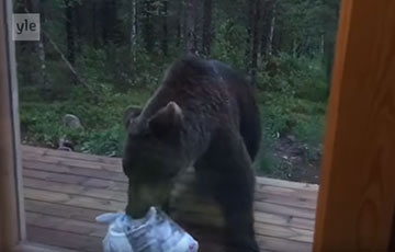 Видеохит: Ругающийся финн прогнал медведя с крыльца шваброй