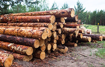 «Усе, Коля, нагаварыў ты сабе ўжо гадоў на пяць»