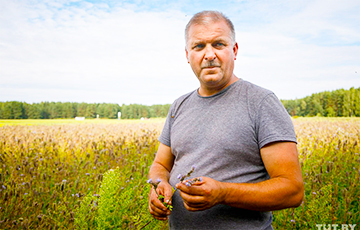 Как на Нарочи выращивают лекарственные травы и хотят продавать в Европу