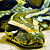 Знойдзеныя найстаражытнейшыя выкапнёвыя змеі планеты