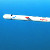 Польша хочет закупать у США ракеты «Томагавк»