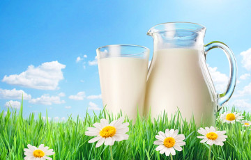Как легко проверить молоко на свежесть