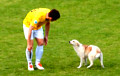 Во время футбольного матча в Барановичах с поля удалили собаку