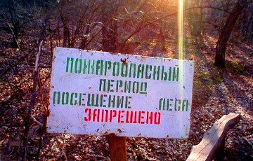Из-за жары в Беларуси снова запретят посещать леса