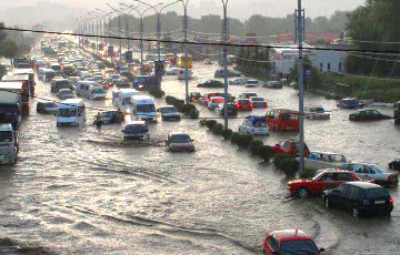 В Тбилиси из-за наводнения погибли люди и разбежались животные из зоопарка