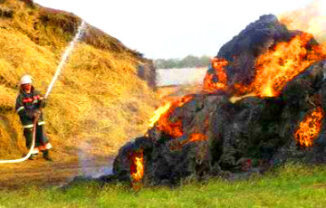 Под Дзержинском сгорели сто тонн сена