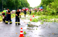 В Польше ураган повалил деревья и сорвал крыши домов
