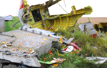 Адвакат сваякоў ахвяр MH17: Пуцін павінен адказаць