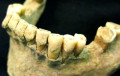 У Францыі знойдзены зуб старажытнага чалавека ўзростам 560 тысяч гадоў