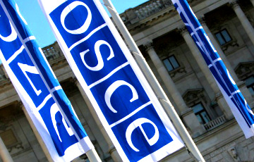 ОБСЕ обнародовала отчет по событиям около Рады