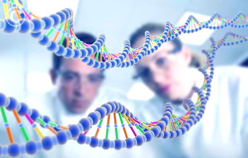 Ученые разгадали загадку некодирующих участков ДНК